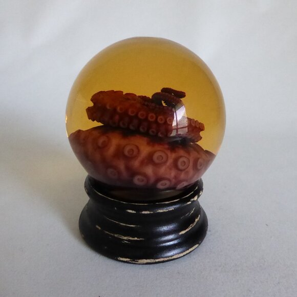 RED TIGER OCTOPUS TENTACLE GLASS GLOBE WET SPECIMEN PROFESSIONAL TAXIDERMY - Picture 3 of 11